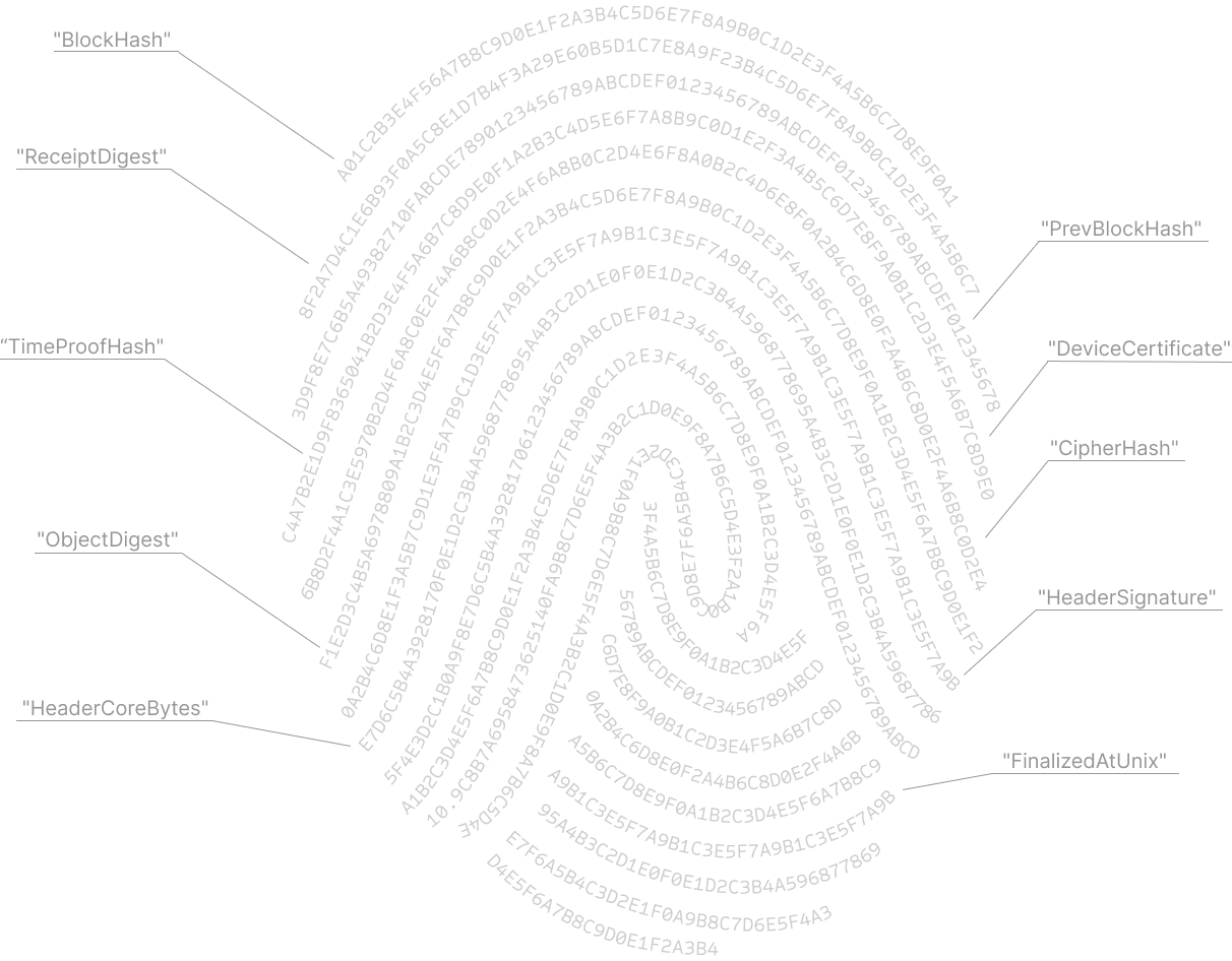 Digital Fingerprint